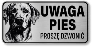 Uwaga pies tabliczka 20x10 Labrador