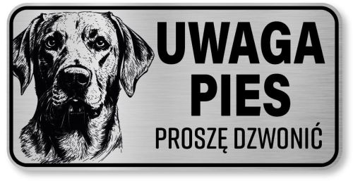 Uwaga pies tabliczka 20x10 Labrador