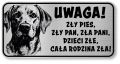 Uwaga pies tabliczka 20x10 Labrador