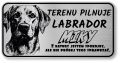 Uwaga pies tabliczka 20x10 Labrador