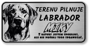 Uwaga pies tabliczka 20x10 Labrador