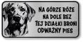 Uwaga pies tabliczka 20x10 Labrador