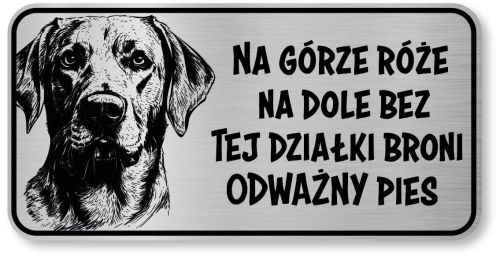 Uwaga pies tabliczka 20x10 Labrador