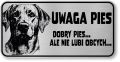 Uwaga pies tabliczka 20x10 Labrador