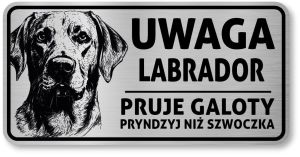 Uwaga pies tabliczka 20x10 Labrador