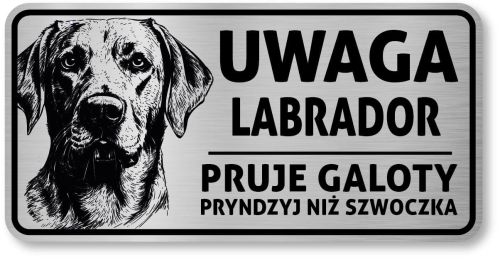 Uwaga pies tabliczka 20x10 Labrador