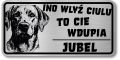 Uwaga pies tabliczka 20x10 Labrador