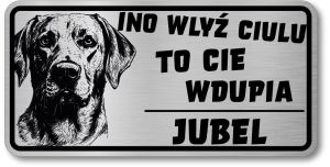 Uwaga pies tabliczka 20x10 Labrador