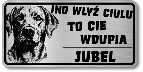 Uwaga pies tabliczka 20x10 Labrador