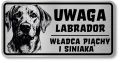 Uwaga pies tabliczka 20x10 Labrador