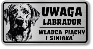 Uwaga pies tabliczka 20x10 Labrador