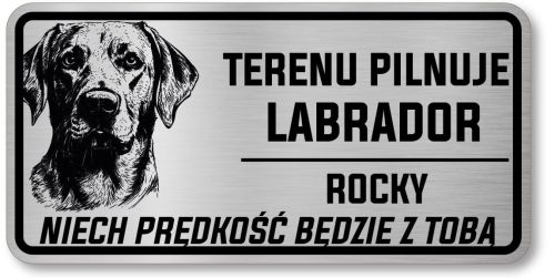 Uwaga pies tabliczka 20x10 Labrador