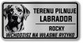 Uwaga pies tabliczka 20x10 Labrador