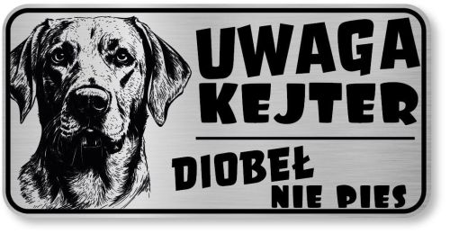 Uwaga pies tabliczka 20x10 Labrador