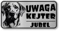 Uwaga pies tabliczka 20x10 Labrador