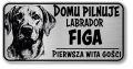 Uwaga pies tabliczka 20x10 Labrador