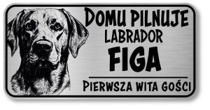 Uwaga pies tabliczka 20x10 Labrador