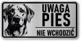 Uwaga pies tabliczka 20x10 Labrador