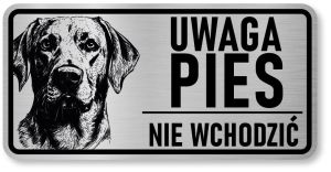 Uwaga pies tabliczka 20x10 Labrador