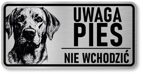 Uwaga pies tabliczka 20x10 Labrador