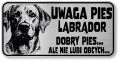 Uwaga pies tabliczka 20x10 Labrador