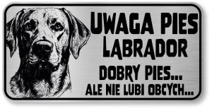 Uwaga pies tabliczka 20x10 Labrador