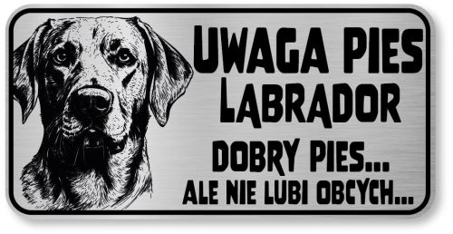 Uwaga pies tabliczka 20x10 Labrador