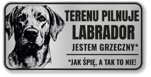 Uwaga pies tabliczka 20x10 Labrador