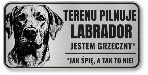 Uwaga pies tabliczka 20x10 Labrador