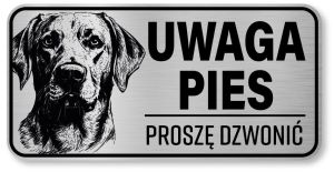 Uwaga pies tabliczka 20x10 Labrador