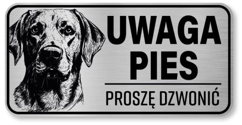 Uwaga pies tabliczka 20x10 Labrador