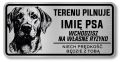 Uwaga pies tabliczka 20x10 Labrador