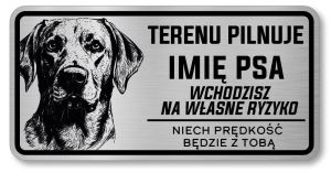 Uwaga pies tabliczka 20x10 Labrador