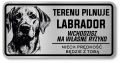 Uwaga pies tabliczka 20x10 Labrador