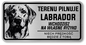 Uwaga pies tabliczka 20x10 Labrador