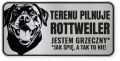 Uwaga pies tabliczka 20x10 Rottweiler
