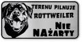 Uwaga pies tabliczka 20x10 Rottweiler