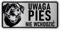 Uwaga pies tabliczka 20x10 Rottweiler