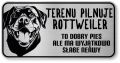 Uwaga pies tabliczka 20x10 Rottweiler