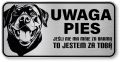 Uwaga pies tabliczka 20x10 Rottweiler