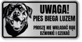 Uwaga pies tabliczka 20x10 Rottweiler