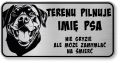 Uwaga pies tabliczka 20x10 Rottweiler