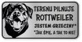 Uwaga pies tabliczka 20x10 Rottweiler