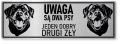 Uwaga pies tabliczka 30x10 Rottweiler