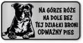 Uwaga pies tabliczka ostrzegawcza 20x10 Staffik
