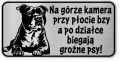 Uwaga pies tabliczka ostrzegawcza 20x10 Staffik