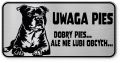 Uwaga pies tabliczka ostrzegawcza 20x10 Staffik