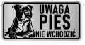 Uwaga pies tabliczka ostrzegawcza 20x10 Staffik