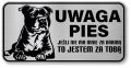 Uwaga pies tabliczka ostrzegawcza 20x10 Staffik