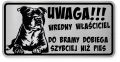 Uwaga pies tabliczka ostrzegawcza 20x10 Staffik